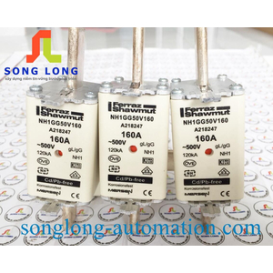 NH1GG50V160, FERRAZ SHAWMUT, NH, 160A, NH 1 160A 500V GG SGL, LINDNER,