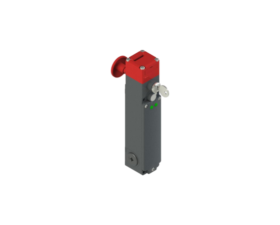 FG 60GD6D0A, Pizzato Elettrica, Interruptor de seguridad para el bloqueo de la puerta del ascensor.